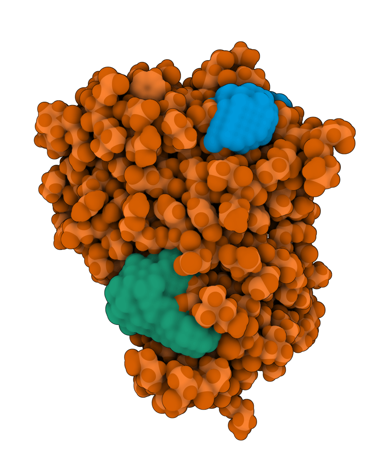 Aurora kinase A